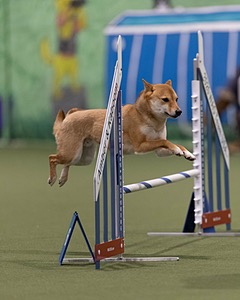 20260221-0053.jpg