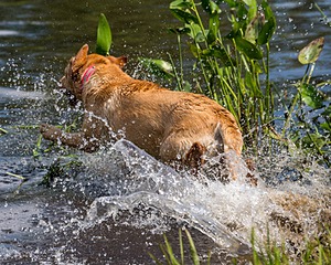 Penny Adsitt-Hager