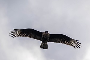 20260327-0033.jpg