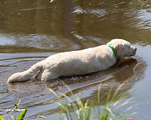 20130601-SHRW-0485.jpg