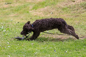 20190512-BD-0068.jpg