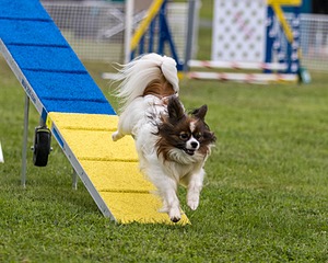20230916-PVKC-0106.jpg