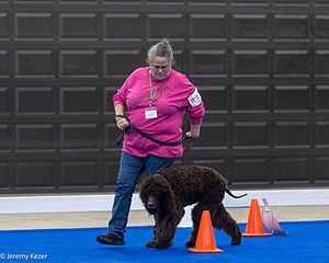 R10 - BALLYHOO'S V FINNEGAN MCNEILL BN FDC CA BCAT DS DJ CGCA TKN VHMA