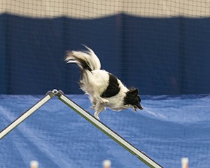 20150321-LEAP-1675.jpg