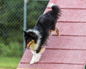 20200819-2910.jpg
