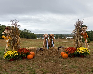 20161008-P-0044.jpg