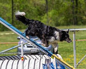 20170520-NEAT-1459.jpg