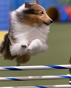 20260221-0747.jpg