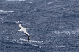 20260324-0078.jpg