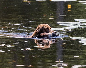 20210606-SEAW-1123.jpg