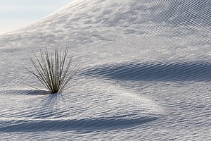 20151209-0086.jpg