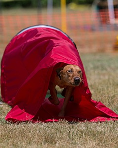 20150613-CCKC-0109.jpg