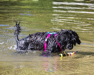 Penny Toby-Ann