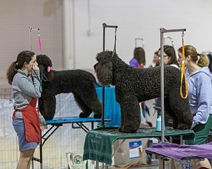20190111-ASC-0013.jpg