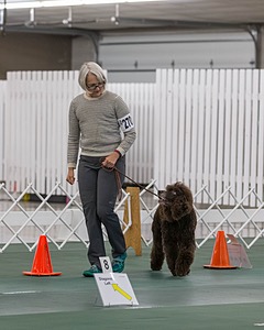 20190514-RA-0247.jpg