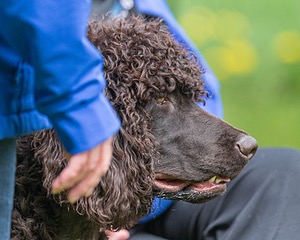 20190512-BD-0077.jpg