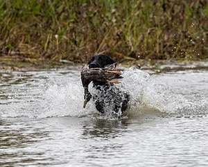20161008-WCXW-0695.jpg