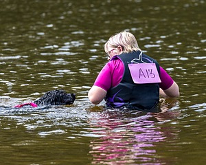 Epic Shelby