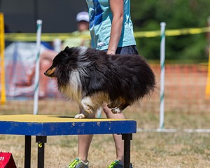 20160619-CCKC-1251.jpg