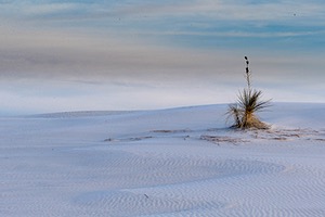 20151207-0055.jpg