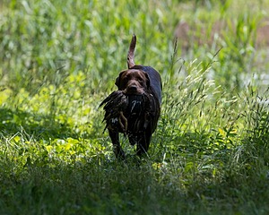 20220605-FINW-0006.jpg