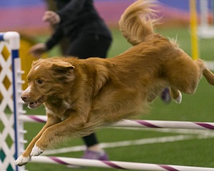 London Cyr