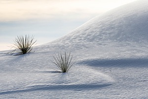 White Sands National Monument, New Mexico