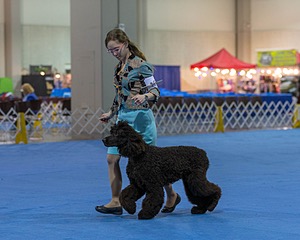 10 - Poole's Ide Touch Of Mink (Darla)