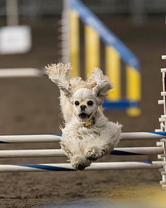 Bubbly Hudson