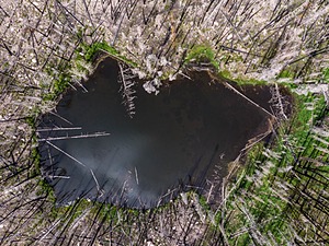 20200620-2746.jpg