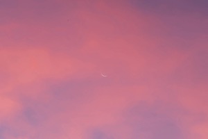 20151208-0015.jpg