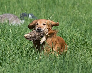 20160604-SEAL-0271.jpg