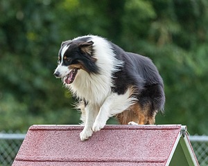 20200819-2784.jpg