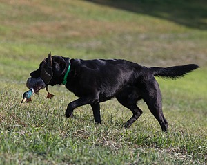 20140809-JHL-0013.jpg