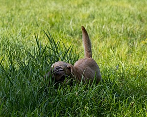 20200809-SHL-0016.jpg