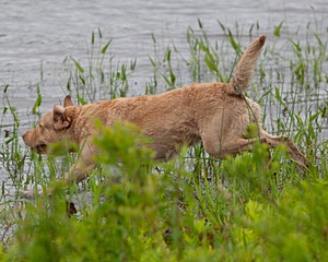 20080531-HRW-0012.jpg