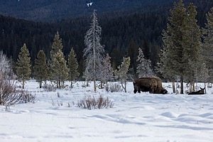 20220130-0329.jpg