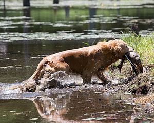 20130602-SEAW-0484.jpg