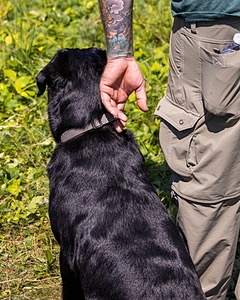 Enzo Ehrhorn