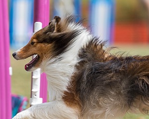20200819-1094.jpg