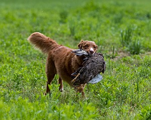 20220604-SHL-1337.jpg
