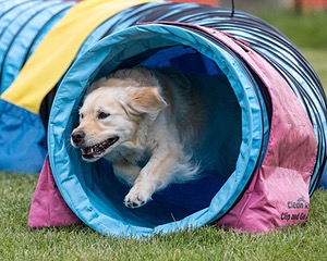 20200819-1883.jpg