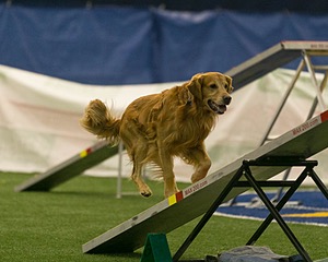 20150321-LEAP-0658.jpg