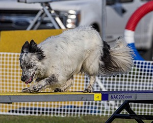 20230916-PVKC-1648.jpg